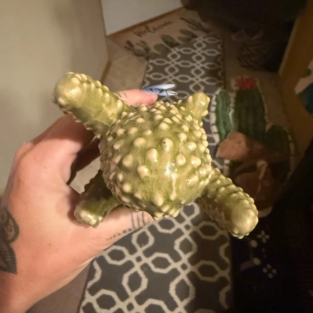 Green Cactus smelly good for house